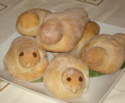 Pombinhas de Santarém à Costa