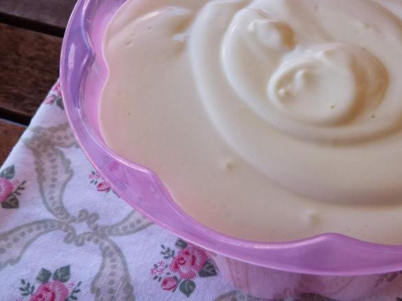 Philadelfia caseiro (versão light)