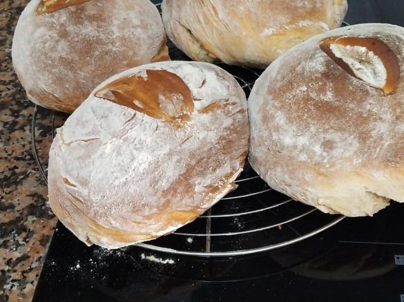 Folar do Avô Mingos