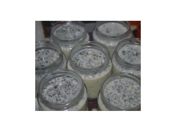 Iogurtes de soja ( sabor a baunilha) e Chia