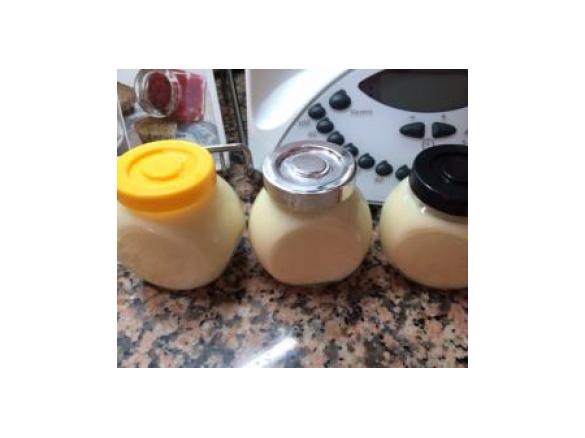 DANONINHOS DE PESSEGO