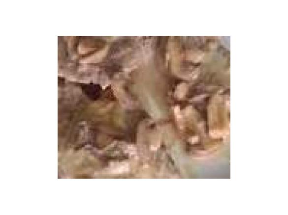 bifinhos de porco com cebolada e cogumelos