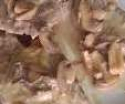 bifinhos de porco com cebolada e cogumelos