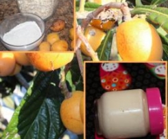 Iogurte Nêsperas com aveia