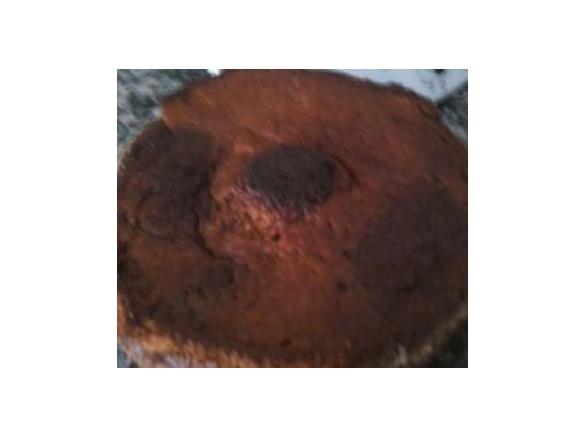 Bolo de Mel com iogurte