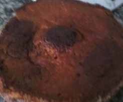 Bolo de Mel com iogurte