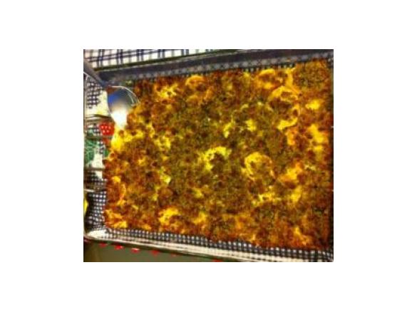 Bacalhau com Broa à minha moda