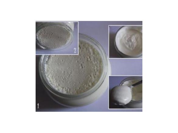 Crème Fraîche ou Natas Azedas 2 (Versão Económica)