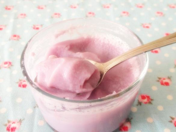 Iogurte com gelatina de mirtilos SEM  LACTOSE