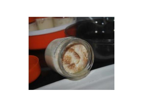 Iogurtes de manga e bolacha