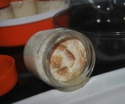 Iogurtes de manga e bolacha