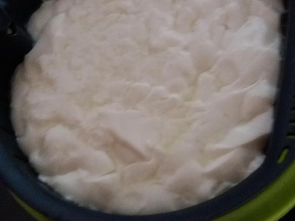 Queijo fresco (sem sal)