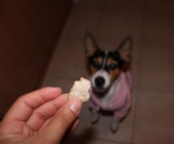 Bolachinhas de Banana para cão