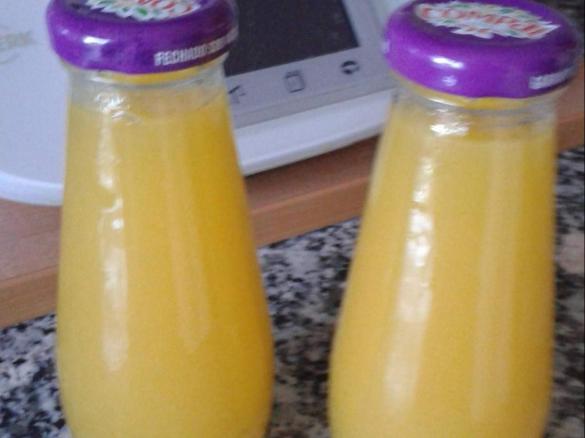NÉCTAR DE MANGA E PÊSSEGO  