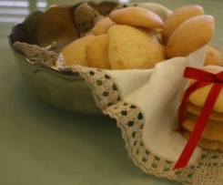 Esquecidos da Beira Baixa