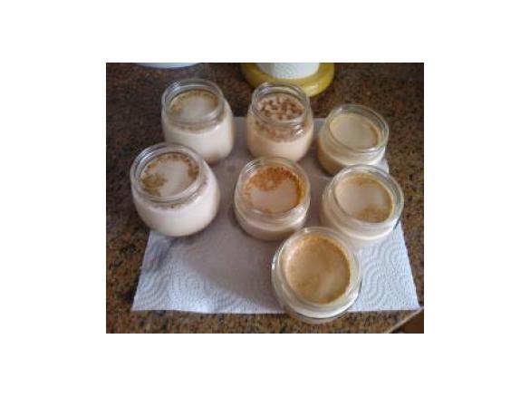 Iogurtes de Chocolate