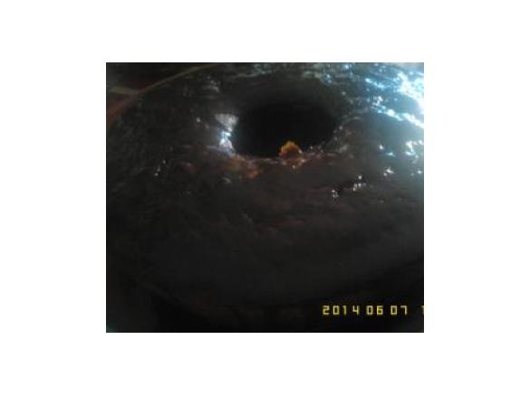 Bolo de abricoque com avelã e sementes