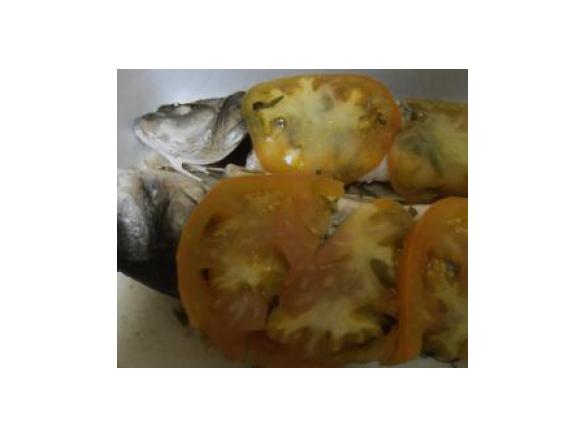 Robalos ao vapor com alecrim e batatas cozidas