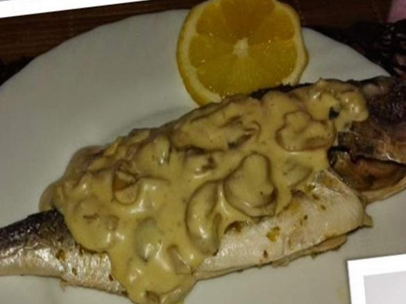 DOURADAS COM COGUMELOS