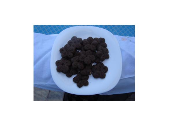 Bolachas de Alfarroba, Limão e Amêndoa