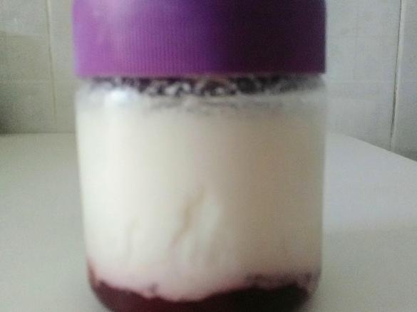 Iogurte de cereja sem lactose