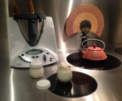 Iogurte sólido natural