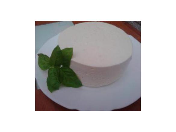 Queijo fresco