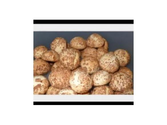 Bolinhos de corn-flakes da Zizi