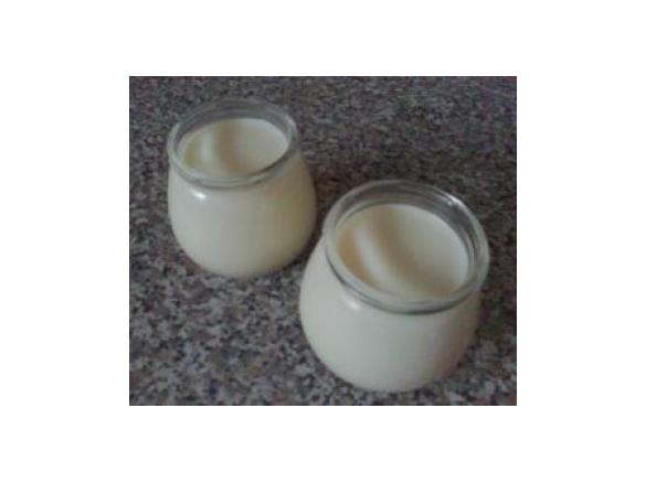 Iogurtes de Aveia BIO