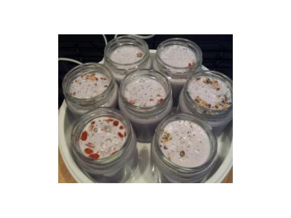 Iorgurte de Mirtilos com Goji