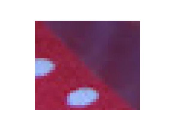 Pudin de Leite condensado