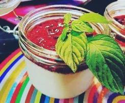 Panacota Light sem Lactose de Frutos Vermelhos