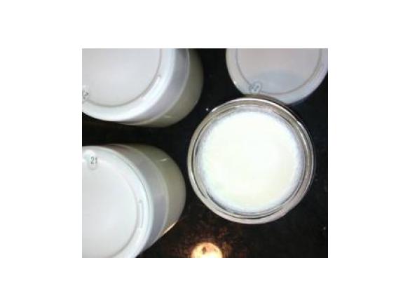 Iogurtes Adágio Natural açucarado