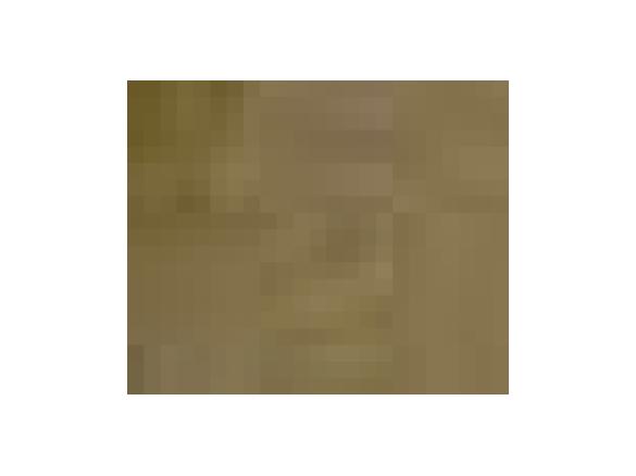 Lagosta Fingida (à moda da minha mãe)