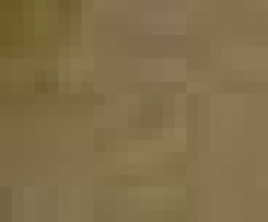 Lagosta Fingida (à moda da minha mãe)