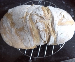 Pão com soro do queijo fresco 