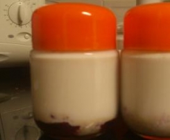 Iogurte de bolacha e frutos vermelhos / sobremesa de frutos vermelhos