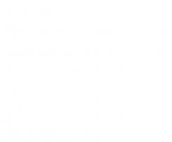 Bolo de Milho do Chef Silva