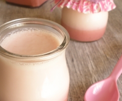 Iogurte de coco com curd de framboesa