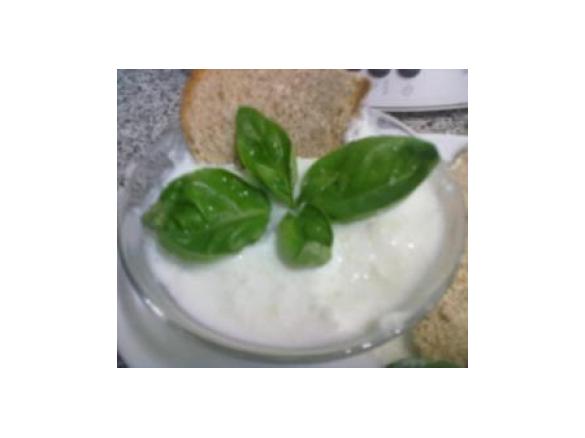 Creme de Iogurte e alho