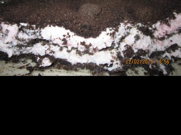 Semifrio de Morango e Bolacha (da Mada)