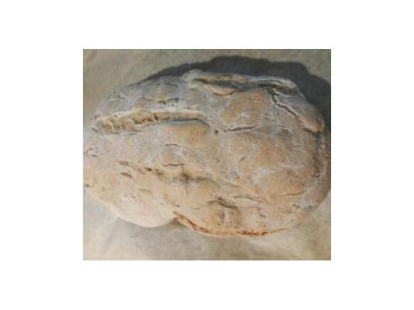 Pão à minha Maneira