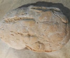 Pão à minha Maneira