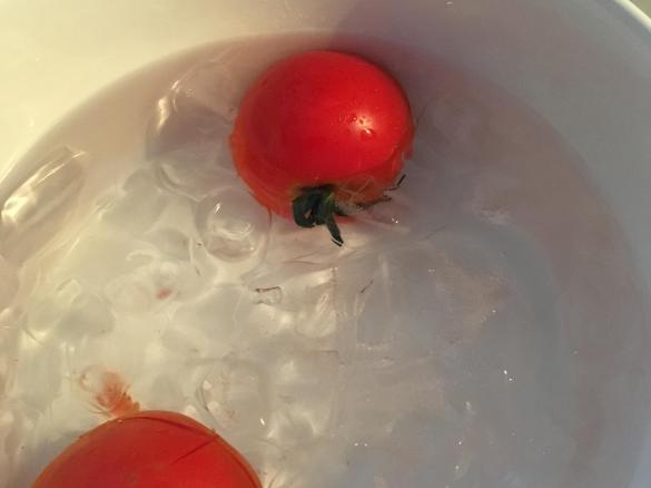 Salmorejo (sopa fria)