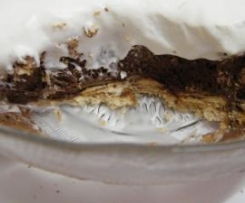 Delícia de Mousse de Chocolate