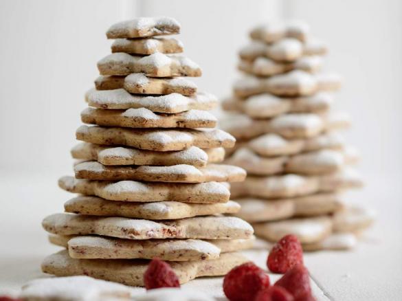 Árvores de Bolachas