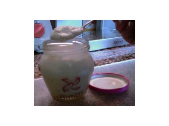 iogurtes de soja de frutos silvestres