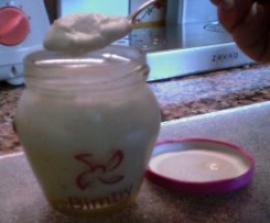 iogurtes de soja de frutos silvestres