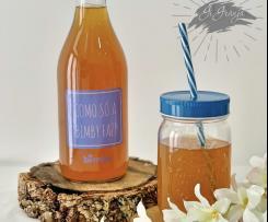 Ice tea manga caseiro