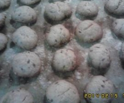 Bolinhos de alôvera com sementes.